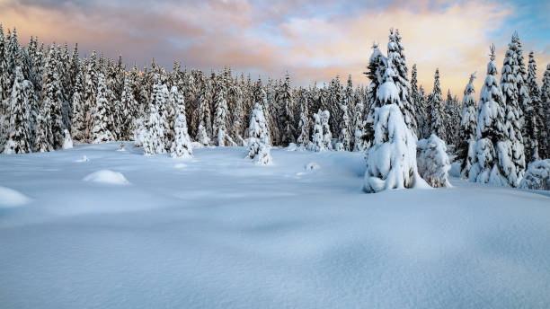 istock Colorful sunset over winter landscape with snow covered forest . 1359834025