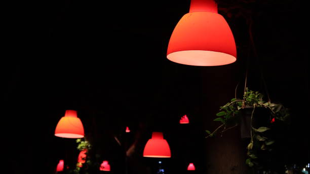 istock plant lighting with lamp 1359834042