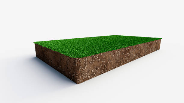 istock Patch of grass field with healthy soil in rectangular shape 3d illustration 1359839790