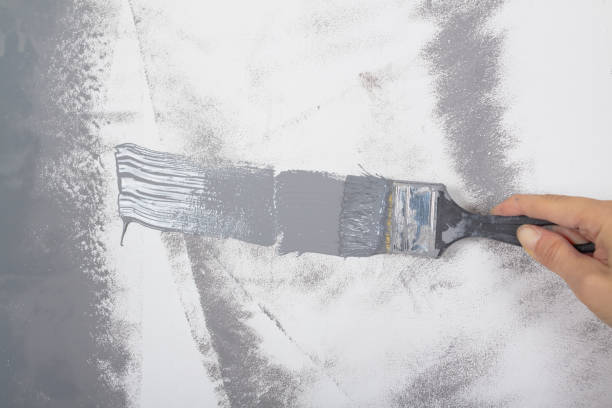 istock Paint a white wall with a brush in gray 1359841517