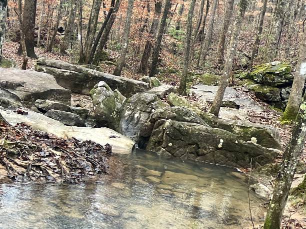 Cold southern outdoors