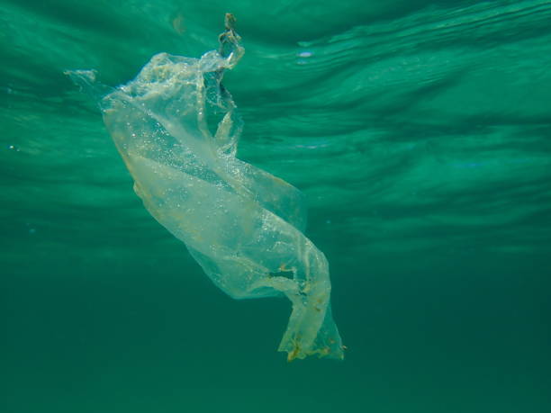 istock Plastic garbage underwater, Aegean Sea, Greece, Halkidiki. Sea pollution. 1359845968