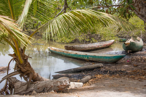 istock Canoes in Makasutu, The Gambia 1359846160