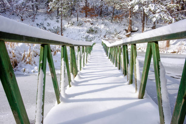 winter calm mountain landscape with beautiful trees
