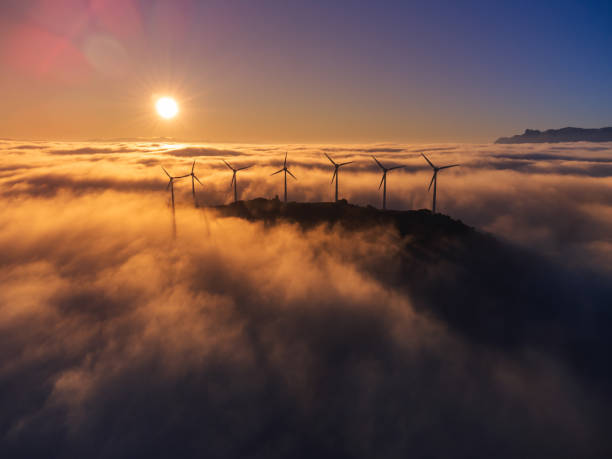 istock Wind farm at sunrise. Aerial drone view. 1359849874