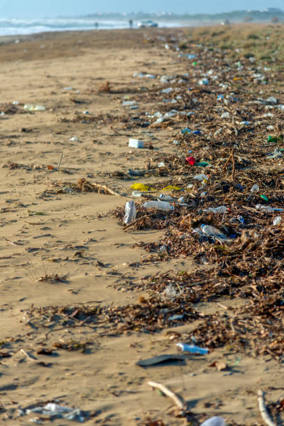 istock Beach polluted with plastic and garbage in the Mediterranean 1359857316
