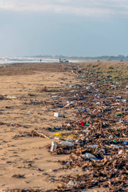 istock Beach polluted with plastic and garbage in the Mediterranean 1359857317