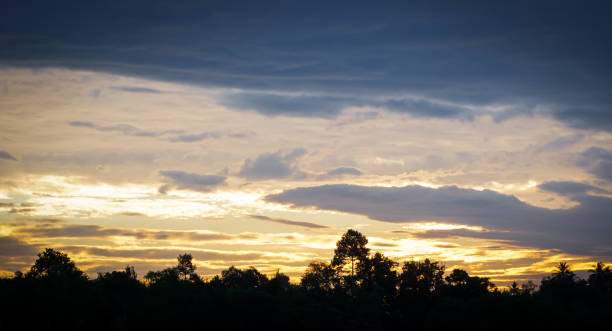 istock Morning sky with silhouette forest foreground 1359857399