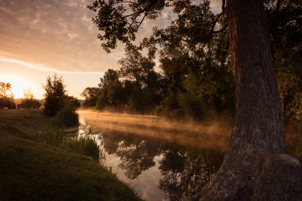 istock River Stour - sun through the mist on the river 1359857624