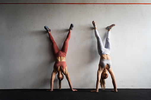 Flexible Caucasian spotswomen in the gym, together doing the handstand , leaning on the wall