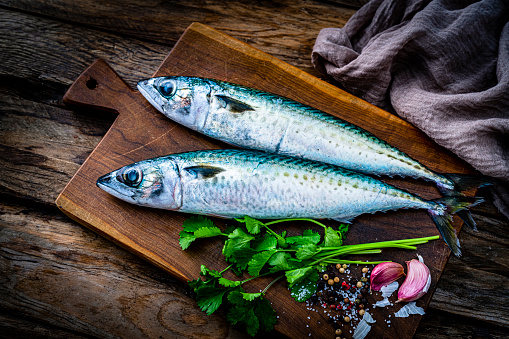 Healthy food backgrounds: overhead view of two fresh raw Mackerel fishes  on a cutting board placed on a rustic wooden table. Garlic, cilantro, peppercorns and salt complete the composition. High resolution 42Mp studio digital capture taken with SONY A7rII and Zeiss Batis 40mm F2.0 CF lens