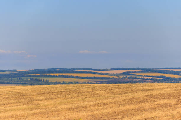 Summer landscape with agricultural fields, hills and blue sky