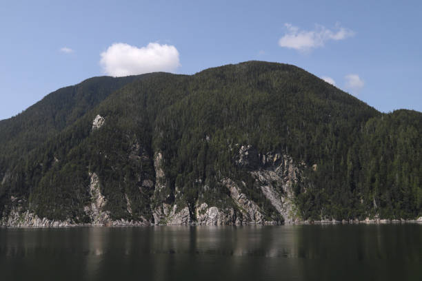 istock Typical coastline along Burke Channel near Bella Coola, British Columbia 1359865476