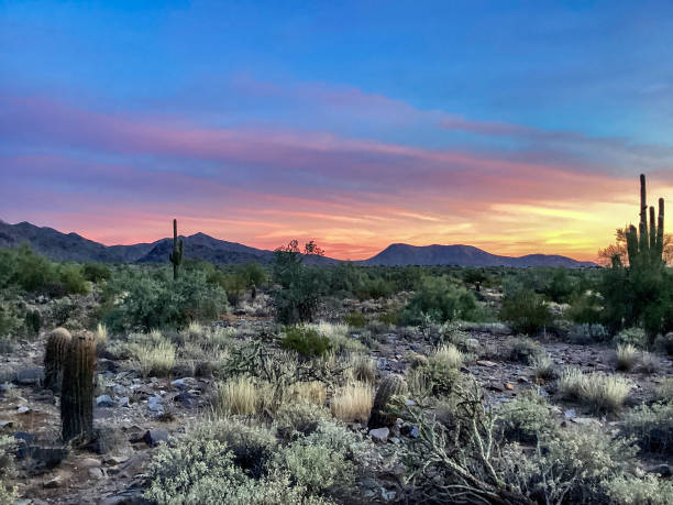 istock McDowell Sonoran Conservancy Gateway Trailhead in Scottsdale, Arizona 1359866334