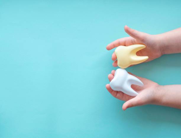 Large plastic teeth rest on the baby's palms. Pediatric dentistry concept, baby teeth. Pain-free dental treatment Large plastic teeth rest on the baby's palms. Pediatric dentistry concept, baby teeth. Pain-free dental treatment. pediatric dentistry stock pictures, royalty-free photos & images