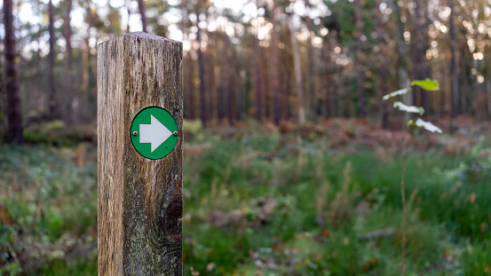 A weathered wooden public footpath sign against a blue sky pointing the way with copy space.