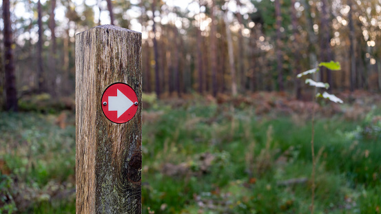 Red hiking trail marker pointing the direction in the woods