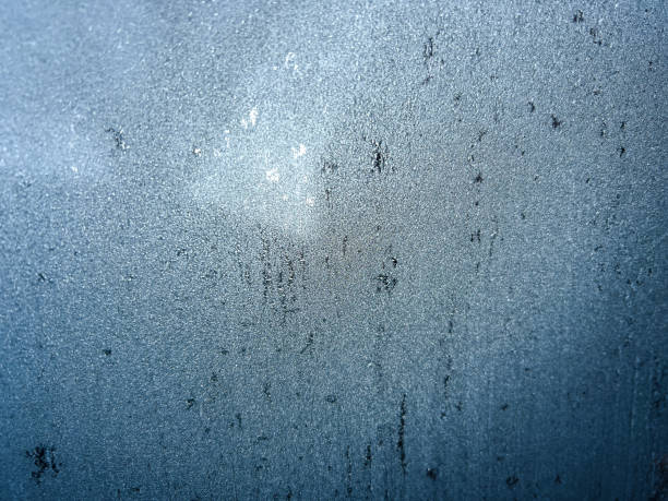 istock A frozen window pane. 1359869505