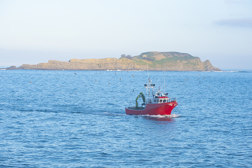 Fishing boat entering Bermeo with the island of Izaro in the background, Euskadi