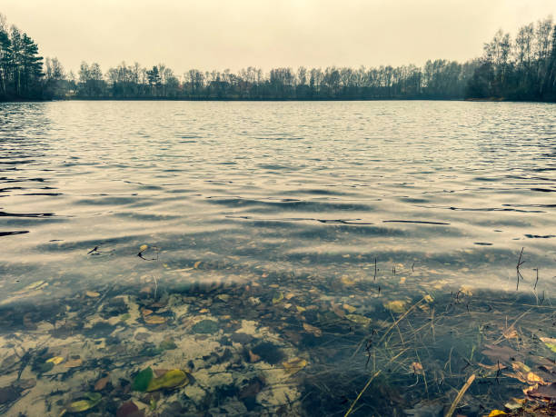 A lake in bad weather in winter.