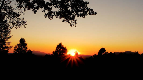 istock Colorful Sunset with tree Silhouettes in Colorado 1359874669