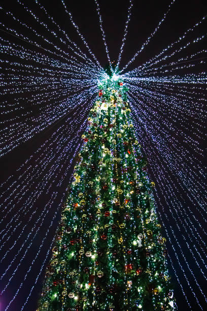 istock Beautiful Christmas tree with decorations and lights. Christmas garland starry sky. 1359876321