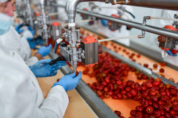 istock Worker In Factory Using Machine To Fill Cherry Peppers With Cheese 1359881812