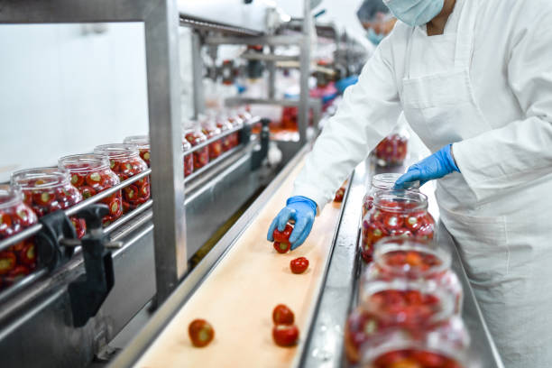 istock Workers In Factory Putting Stuffed Cherry Peppers In Jars 1359881903