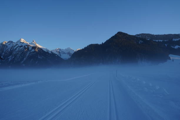 Fog rising over cross country skiing trail on a winter day after sunset, whereas snowcapped mountains on the background are still illuminated by last rays of the sun. Interesting weather phenomenon. la niebla se eleva sobre la pista de esquí de fondo en un día de invierno después de la puesta del sol, mientras que las montañas nevadas en el fondo todavía están iluminadas por los últimos rayos del sol. interesante fenómeno meteorológico.