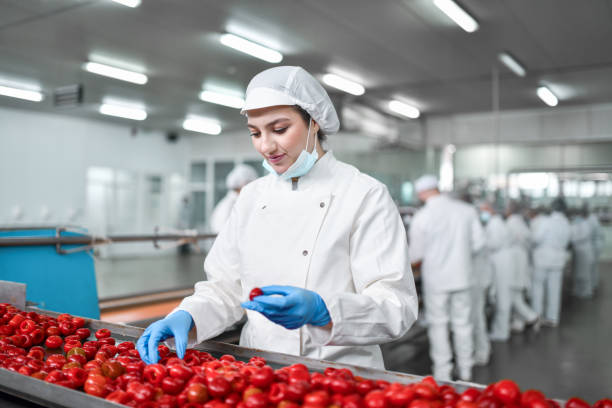 istock Modern Female Worker Sorting Out De-Seeded Cherry Peppers For Stuffing With Cheese In Factory 1359881978