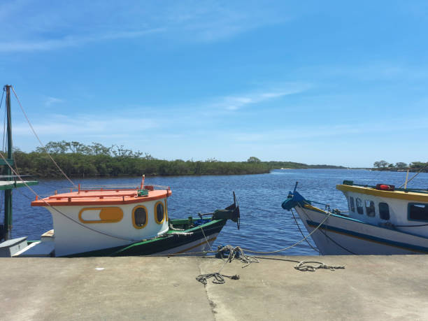 istock Barra do Sul - Santa Catarina State 1359882304