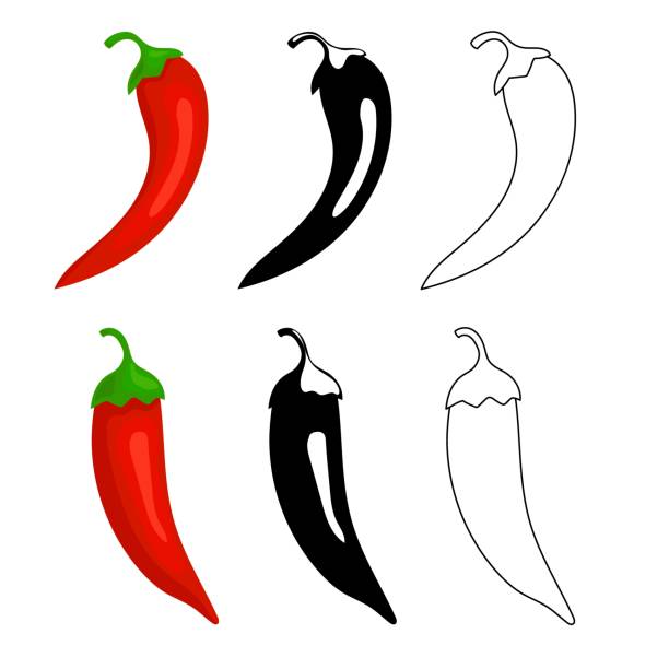 stockillustraties, clipart, cartoons en iconen met closeup chilly peppers icons. red hot chilli pepper, black and outline. cartoon mexican chilli or chillies illustration. mexican or asian cuisine signs isolated on white background. - pepernoten