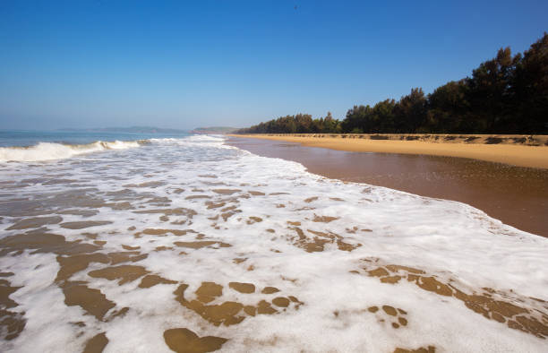 istock Nirvana beach with foam of waves and sanf on beach and fish eagle in sky 1359883027