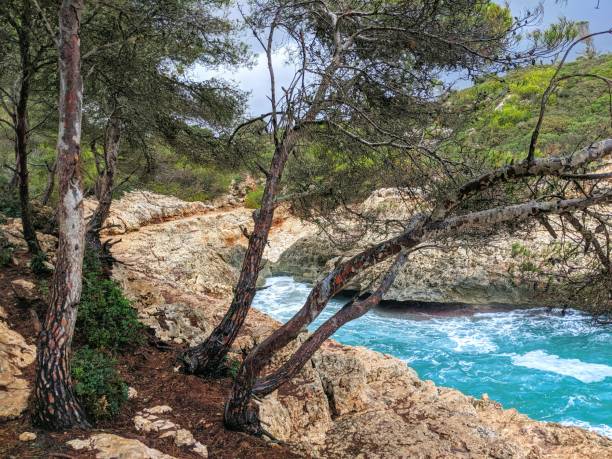 istock Nature of island Palma de Mallorca 1359883985