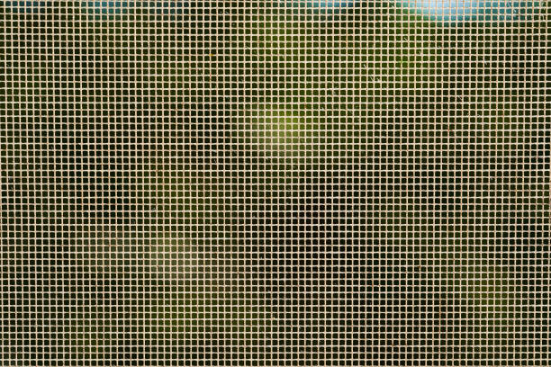 istock Grid on the window against mosquitoes in sunlight. Abstract background 1359889407