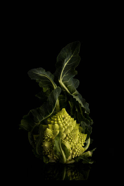 brokuły romaine izolowane na czarnym tle. kalafior romanesco. widok z przodu - romanesque broccoli cauliflower cabbage zdjęcia i obrazy z banku zdjęć