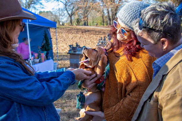 Three women admire a sleepy Basset Hound puppy wearing Christmas reindeer antlers at the Indie South Annual Holiday Hurray market in Athens, Georgia stock photo