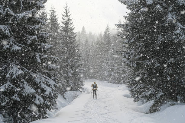 esquí de fondo en el bosque de montaña de izera - nordic event fotografías e imágenes de stock