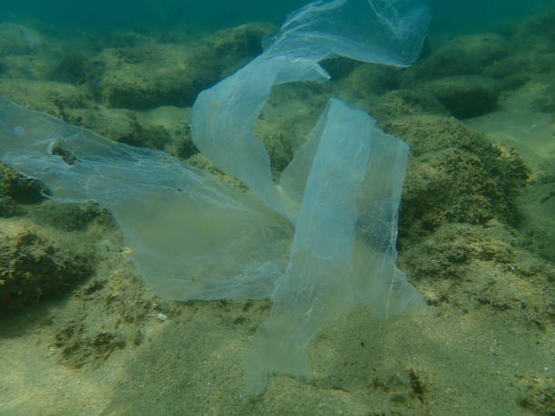 istock Plastic garbage underwater, Aegean Sea, Greece, Halkidiki. Sea pollution. 1359895767