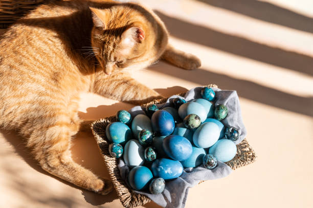 istock Homemade naturally dyed eggs in blue colors 1359908351