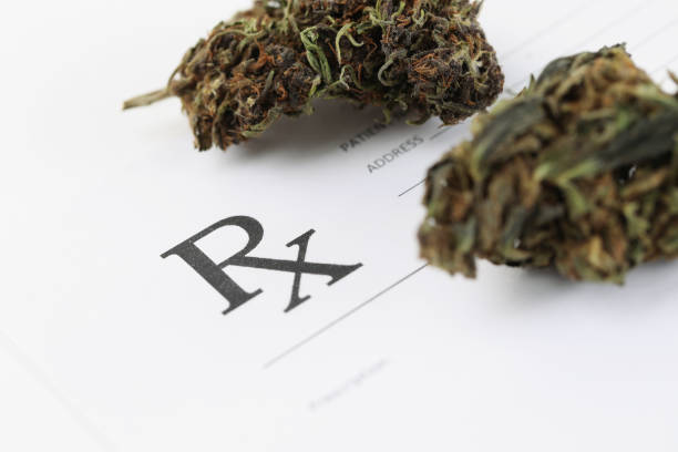 istock Dried marijuana herb lying on blank medical prescription 1359908620