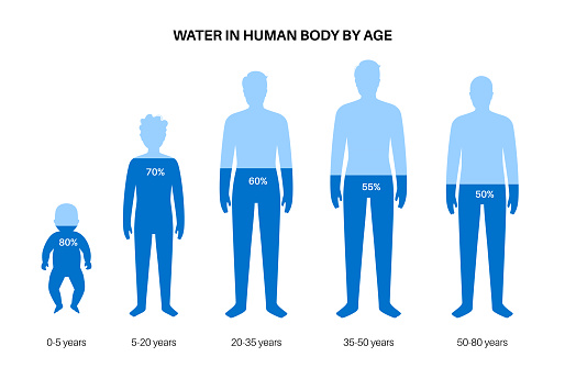 Water body balance by age. H2O level poster. Good metabolism and healthy nutrition concept. Infographic with fluid balance. Male infant, child, and adult men silhouettes flat vector illustration.