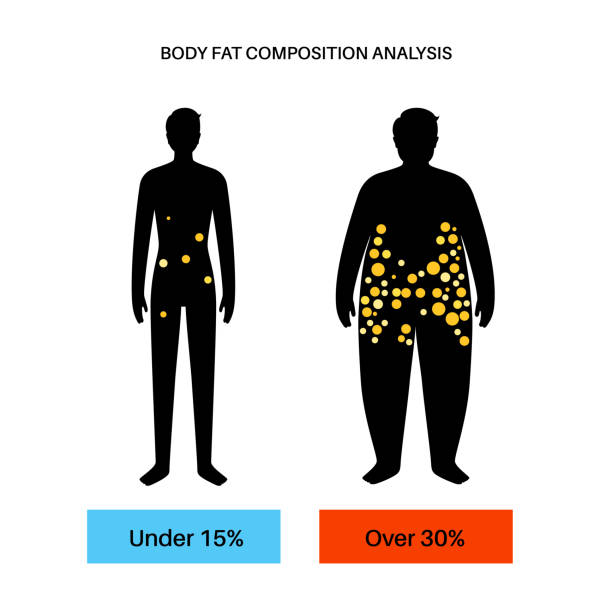 120+ Body Fat Percentage Stock Illustrations, Royalty-Free Vector ...