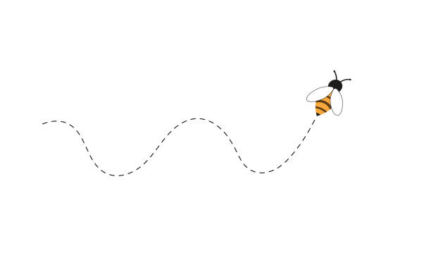 Flight of a bee or a wasp. Insect trajectory flight path with dotted line and loop in space. Bee path with noose, collecting nectar, honey or pollen, apiology science study concept.Vector illustration Flight of a bee or a wasp. Insect trajectory flight path with dotted line and loop in space. Bee path with noose, collecting nectar, honey or pollen, apiology science study concept.Vector illustration bee stock illustrations