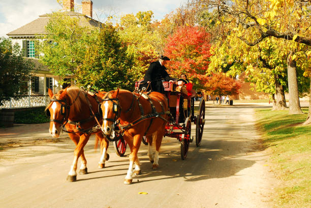 Williamsburg, VA,USA October 28 Tourists enjoy a horse drawn carriage ride and guided tour through the historic homes of Williamsburg, Virginia