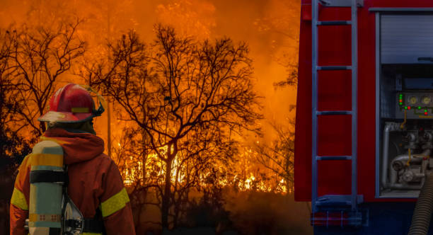 istock Firefighter extinguishing  wildfire with fire truck 1359921701