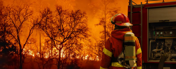 firefighter extinguishing  wildfire with fire truck - orman yangını stok fotoğraflar ve resimler