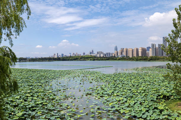 istock Public park landscape and modern skyscrapers background 1359924447