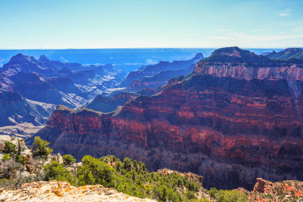 istock Grand Canyon North Rim 1359927621