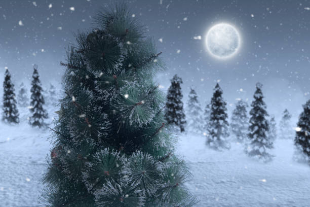 istock Snowy fir trees with snowfall and full moon 1359928338